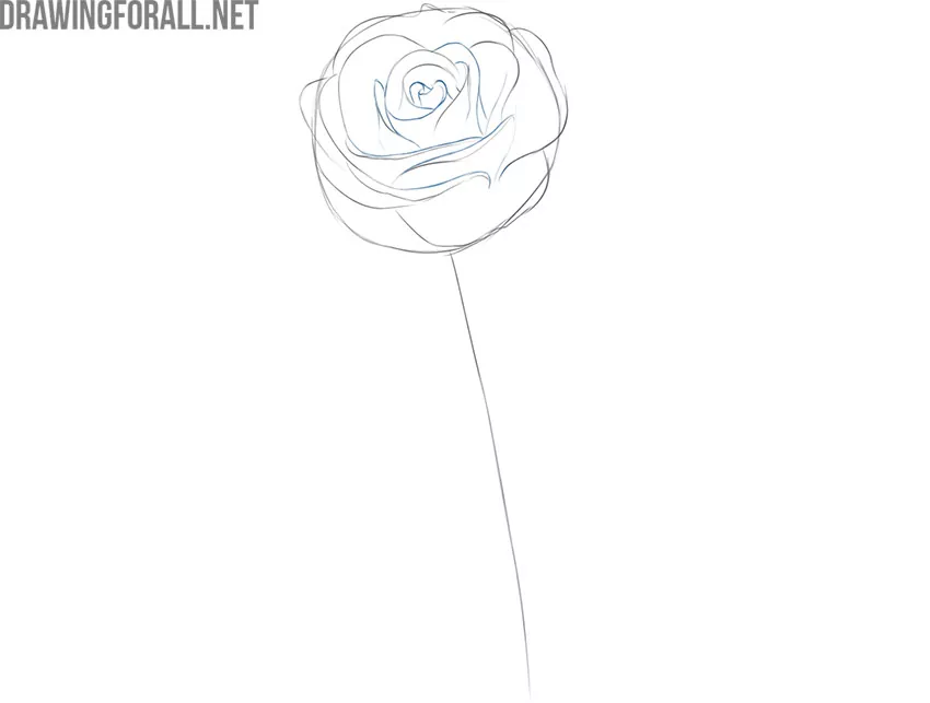 Refine the inner bud petals