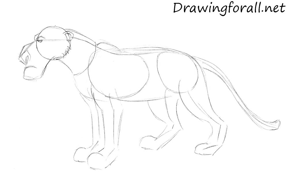 Draw the face of Shere Khan