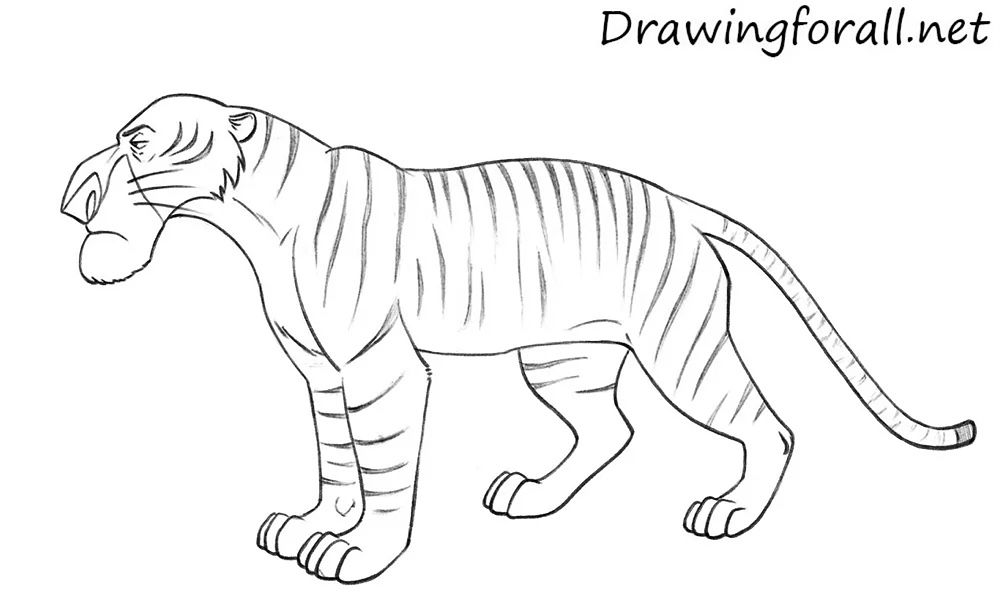 Draw stripes on the body of Shere Khan