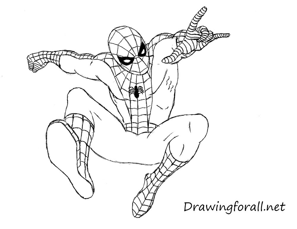 Draw the spider logo and cross web pattern