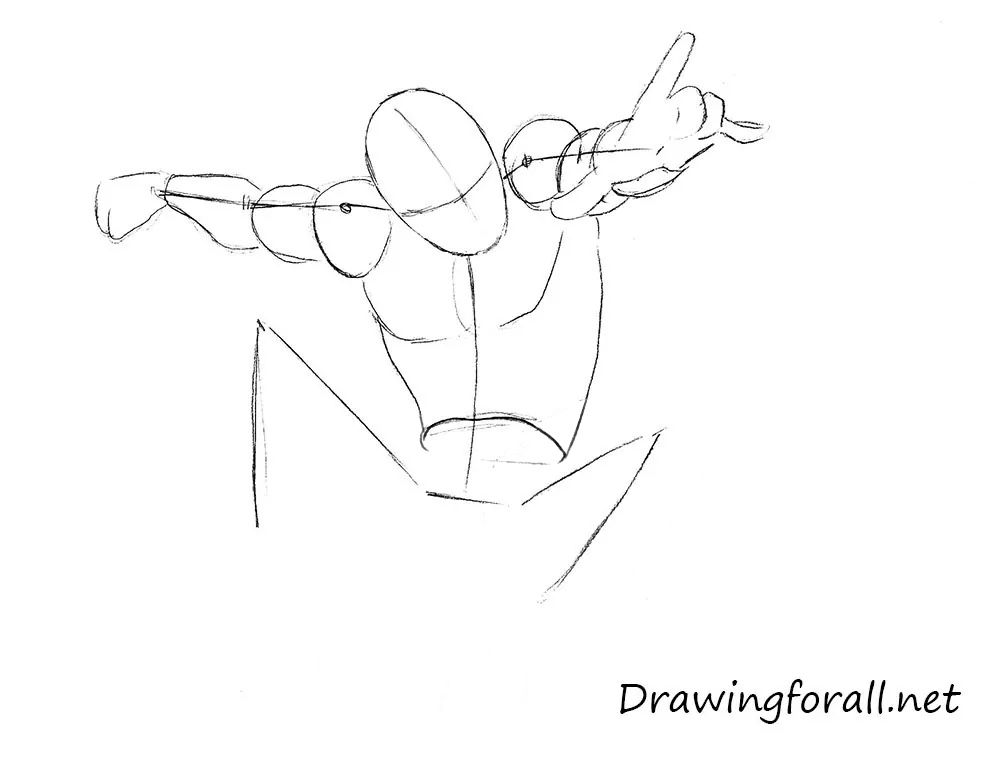 Draw the face guides and upper body