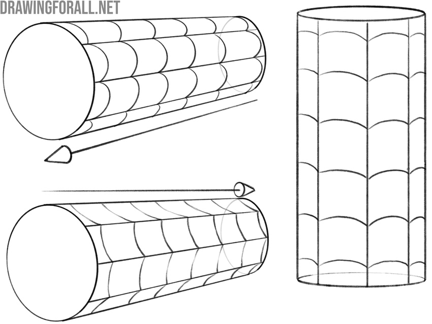 Drawing the web pattern in perspective