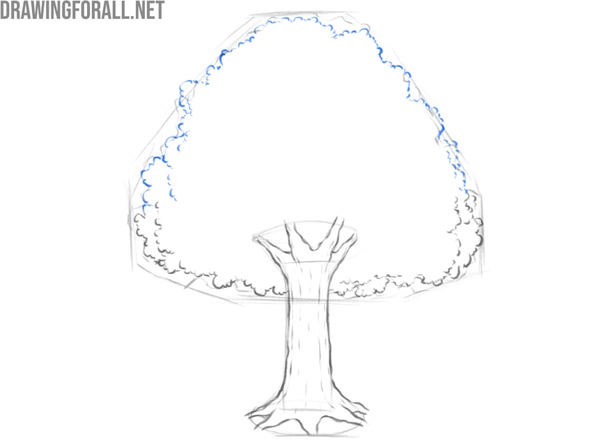 Refine the upper canopy contours