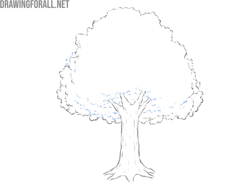 Draw layered leaves in the lower canopy