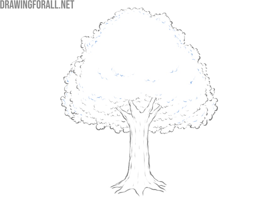 Sketch additional leaf contours