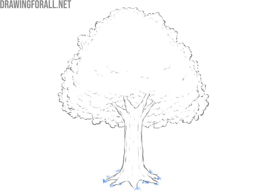 Draw grass around tree tree