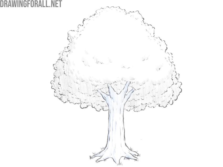 Draw shadows on the tree trunk