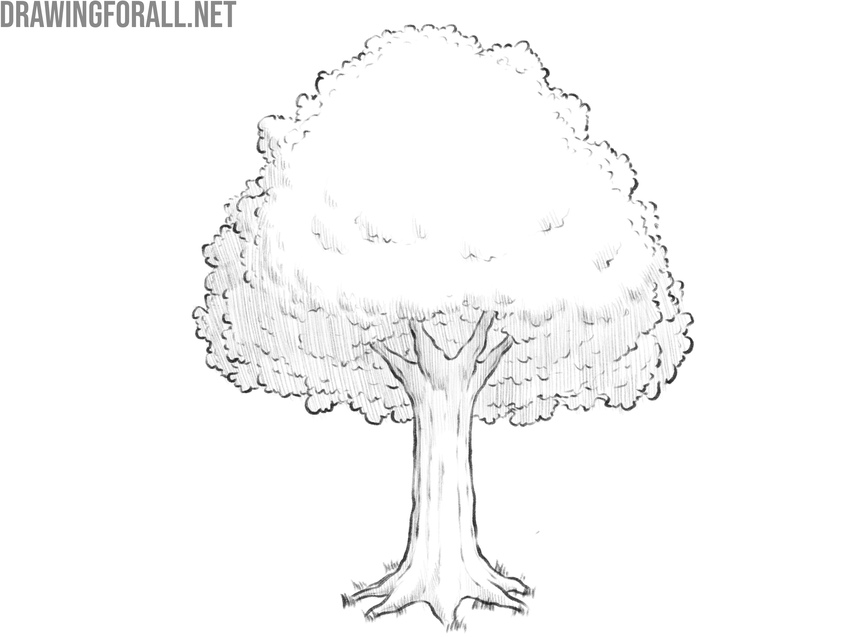 Unify and complete the tree drawing