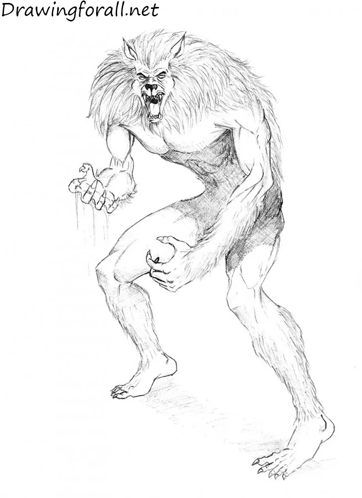 how to draw werewolf