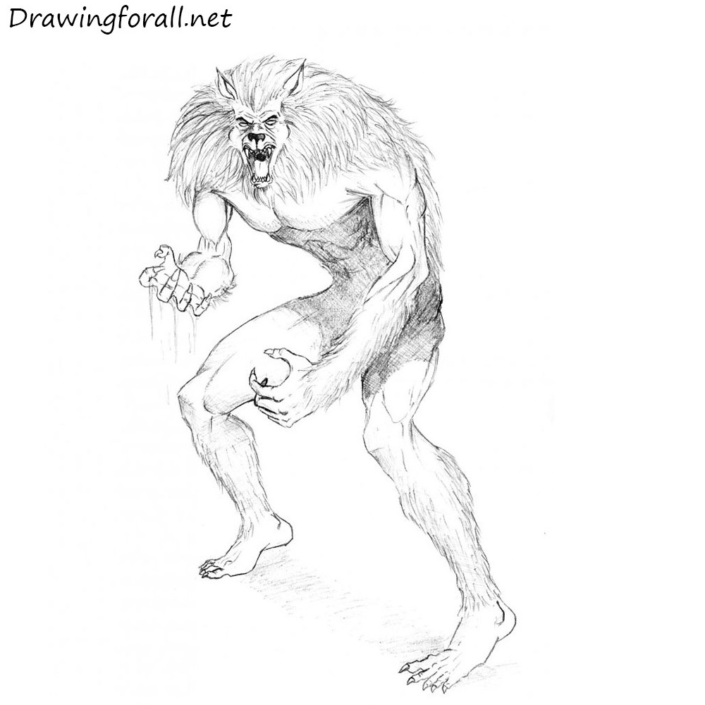 How to Draw Werewolf