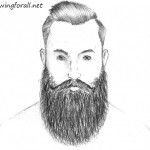 How to Draw a Beard