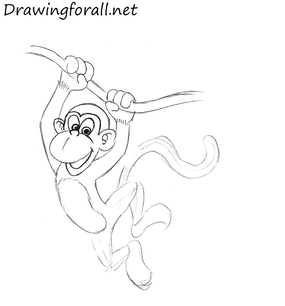 how to draw a monkey easy