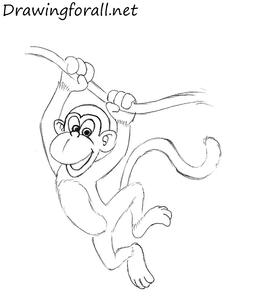 How to Draw Monkey Easy Step by Step  Draw Monkey and Banana Easy  YouTube