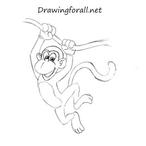 How to Draw a Monkey for Kids