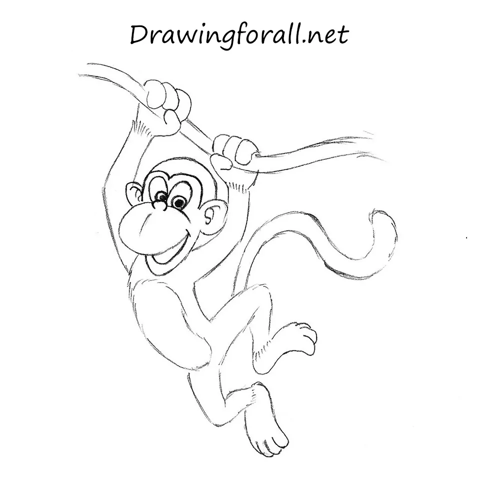 How to Draw a Monkey for Kids