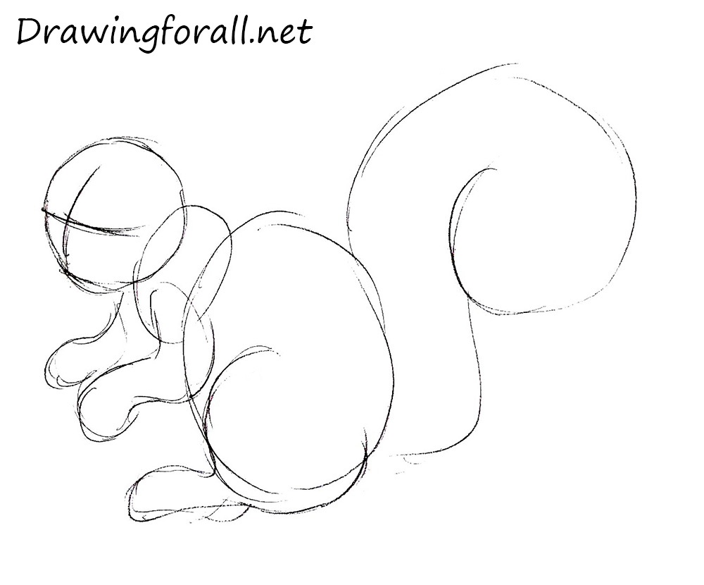 How to Draw a Squirrel step by step