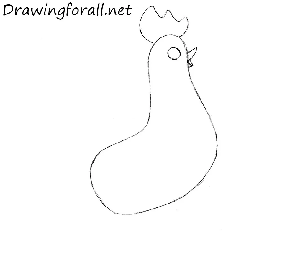 cock drawing