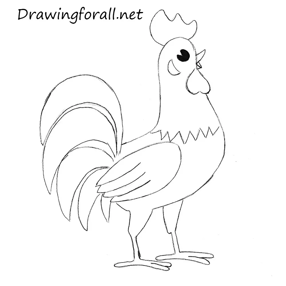 How to Draw a Rooster