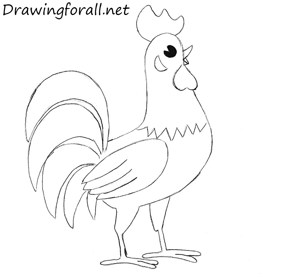 Finished rooster drawing with a comb, open beak, folded wing, and curved tail