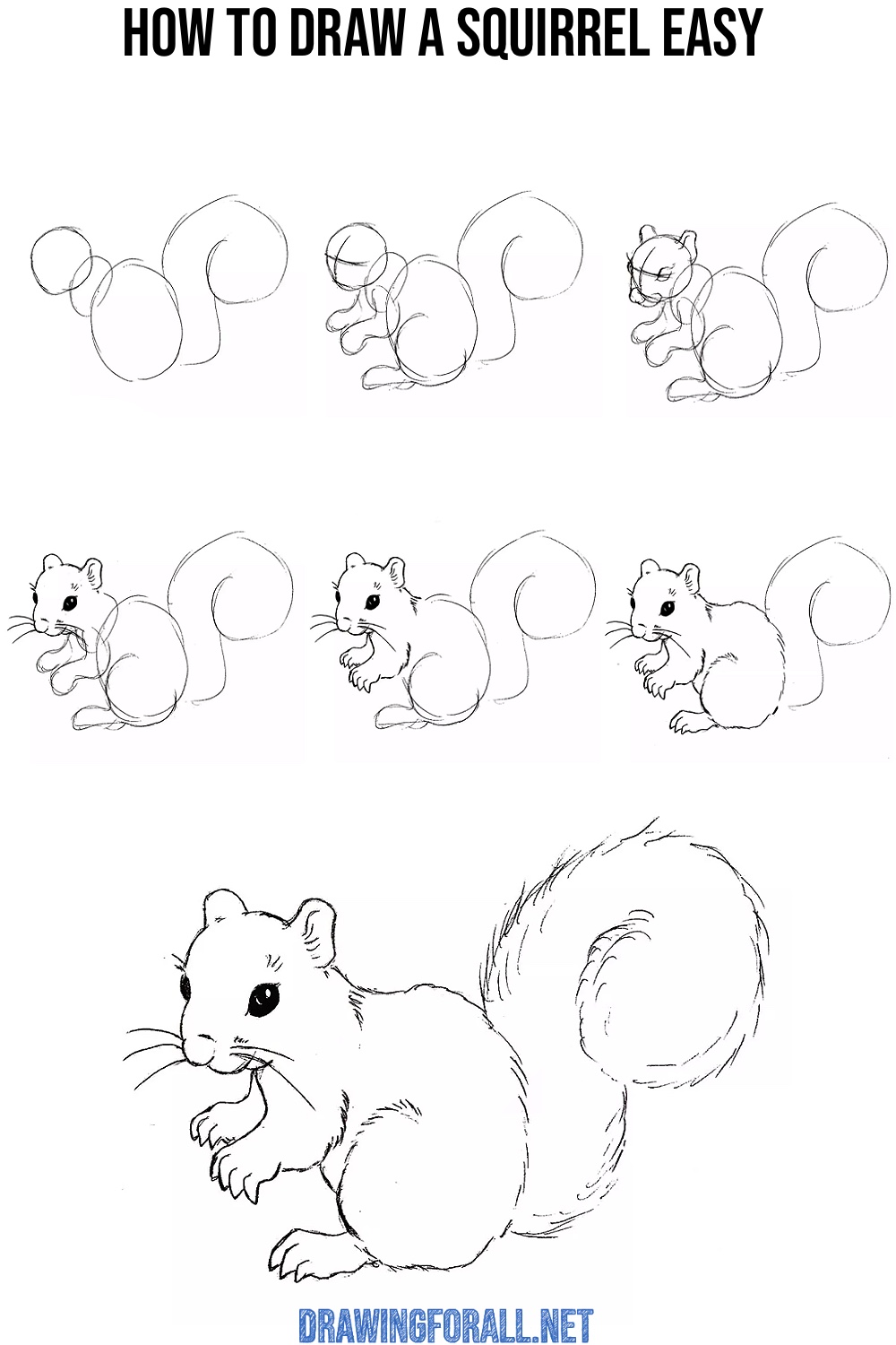 Simple squirrel drawing shown through a sequence of easy construction stages.