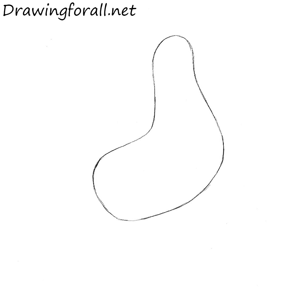 Sketching the rooster’s body as a simple rounded vertical shape
