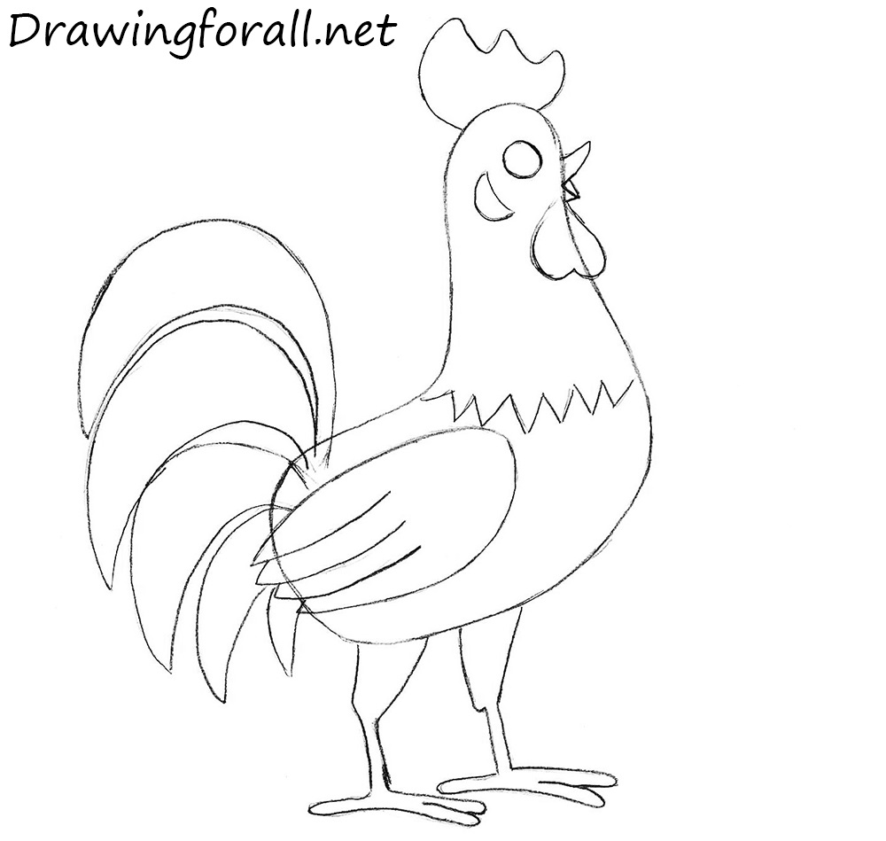 Adding the rooster’s tapered legs and thin straight toes