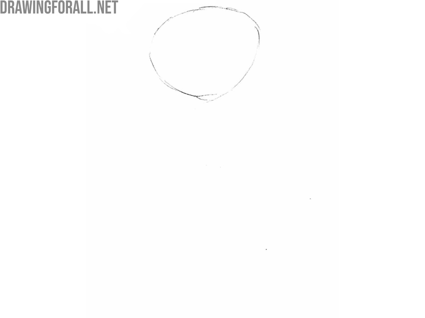 Sketch the open rosebud contours