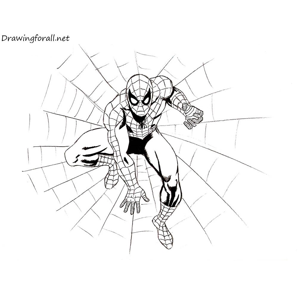 The Amazing SpiderMan Drawing Tutorial