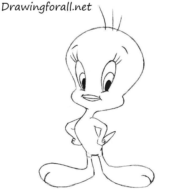 how to draw Tweety