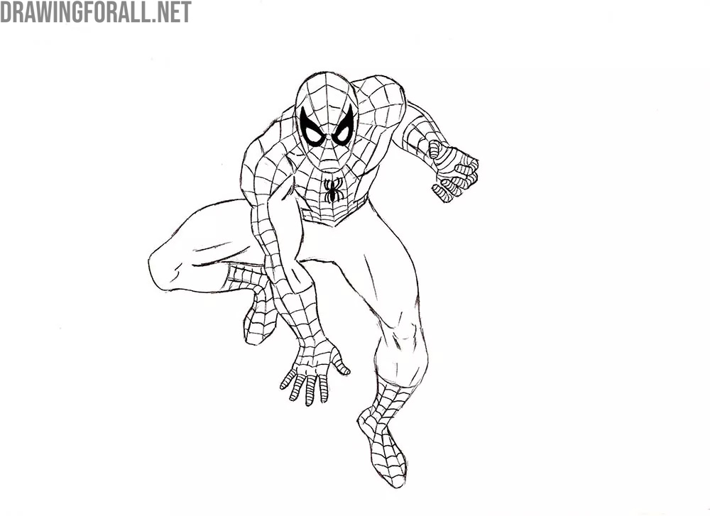 Complete the web pattern