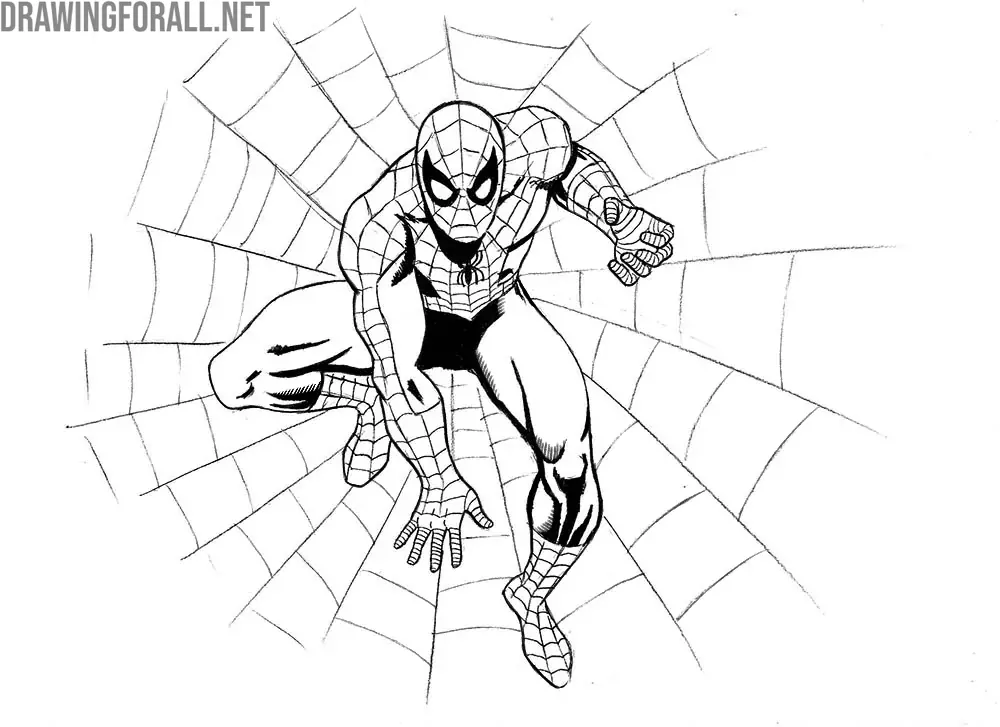 Draw the web behind Spider-Man