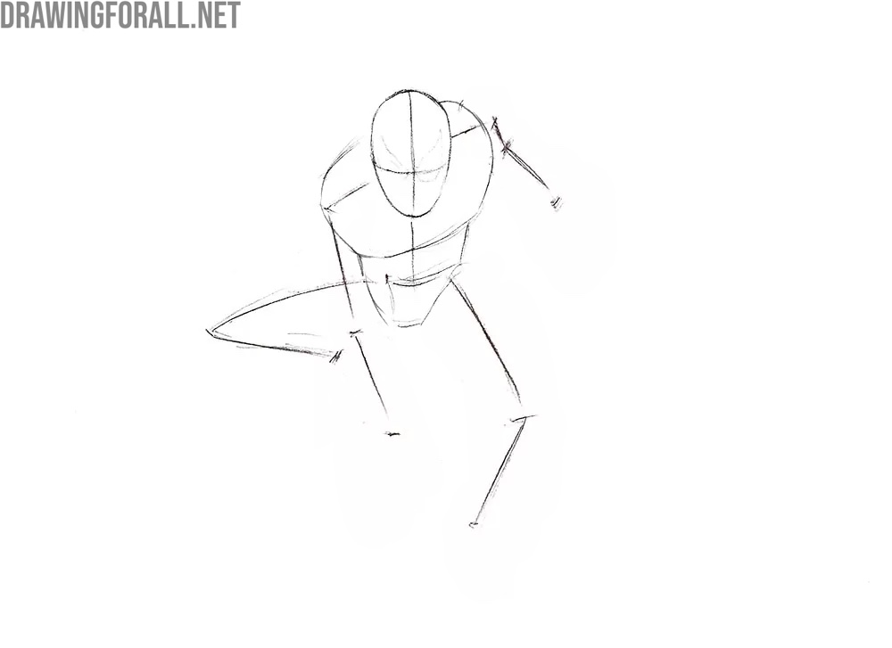 Sketch in the torso and facial guidelines