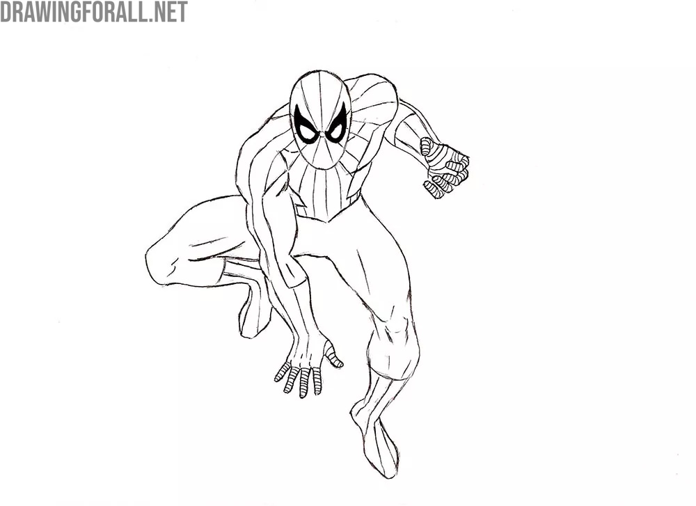 Start drawing the web pattern