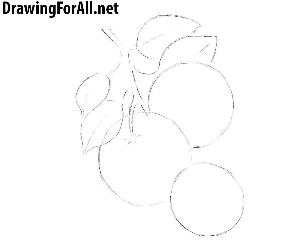 How to Draw an Orange