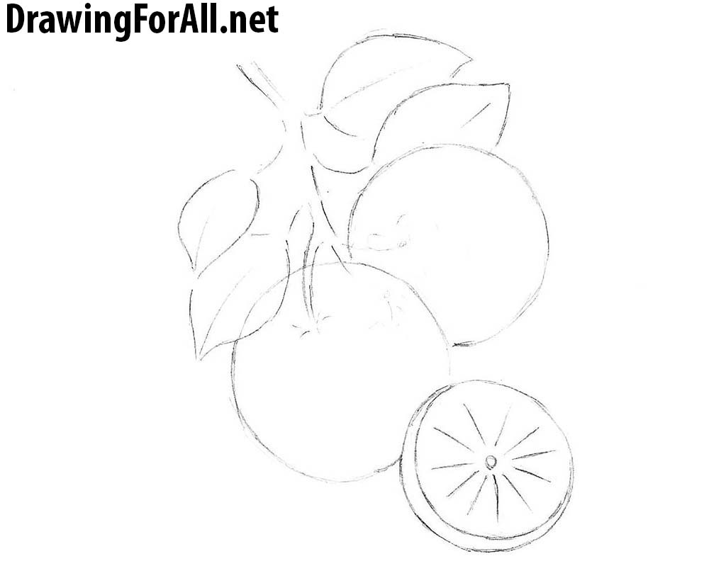 how to draw an orange with a pencil step by step