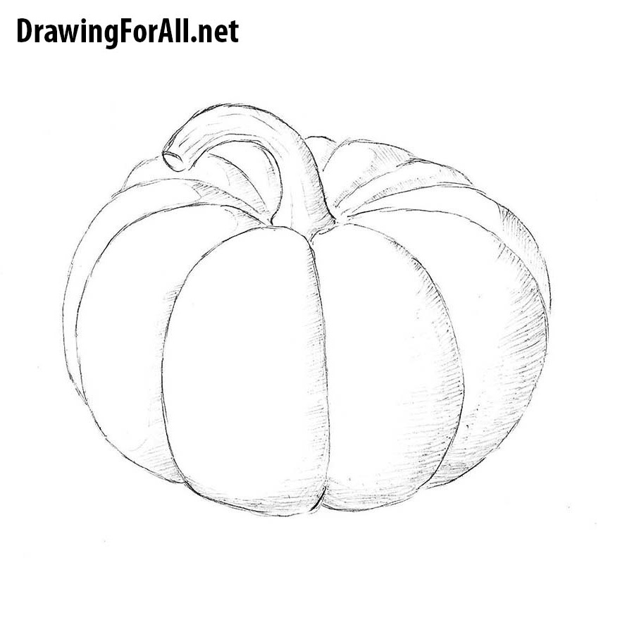 How to Draw a Pumpkin cute and easy