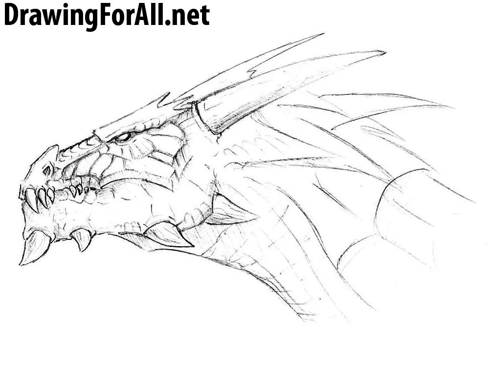 Cute Cartoon Dragon Coloring Page Outline Sketch Drawing Vector, Realistic Dragon  Drawing, Realistic Dragon Outline, Realistic Dragon Sketch PNG and Vector  with Transparent Background for Free Download