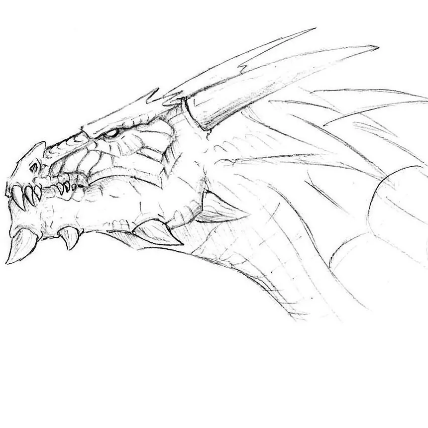 How to Draw a Dragon Head