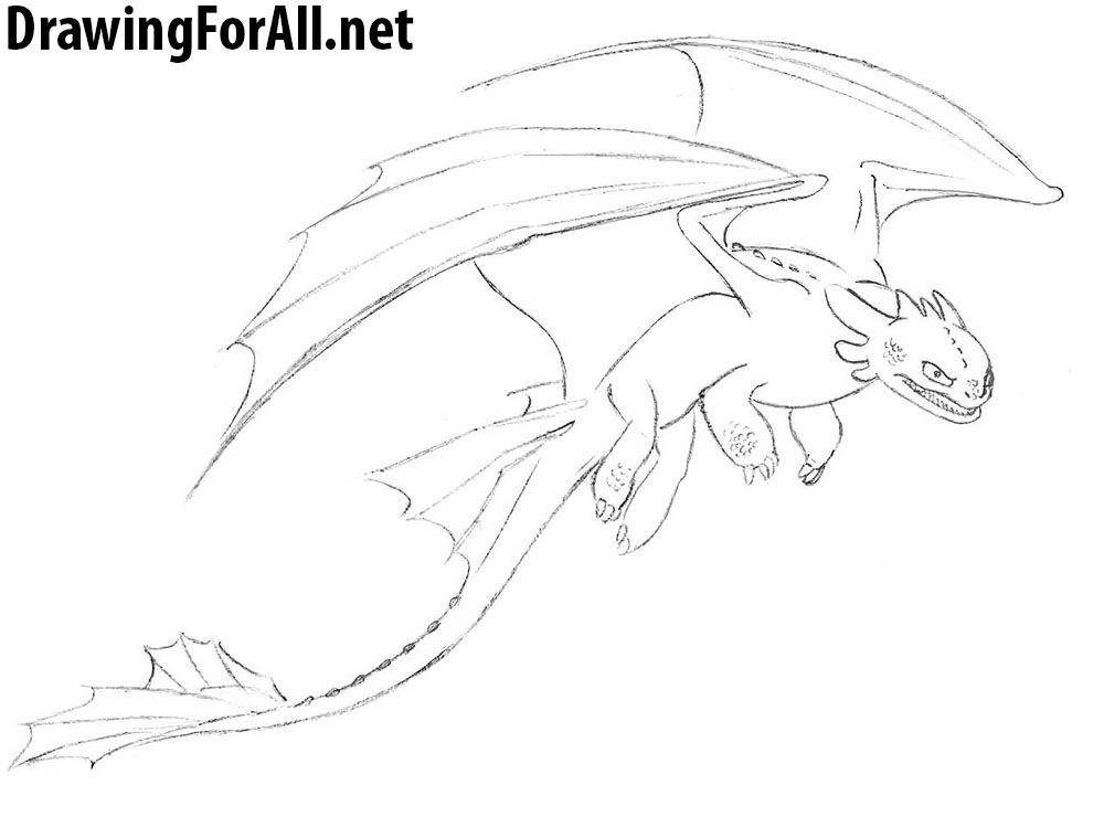 how to draw toothless from how to train your dragon