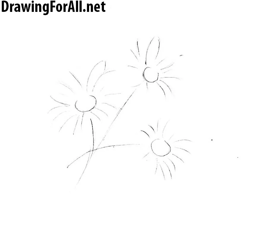 how to draw a flower