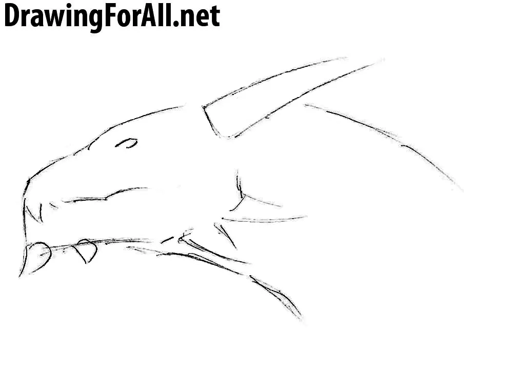 how to draw a dragon head step by step for beginners