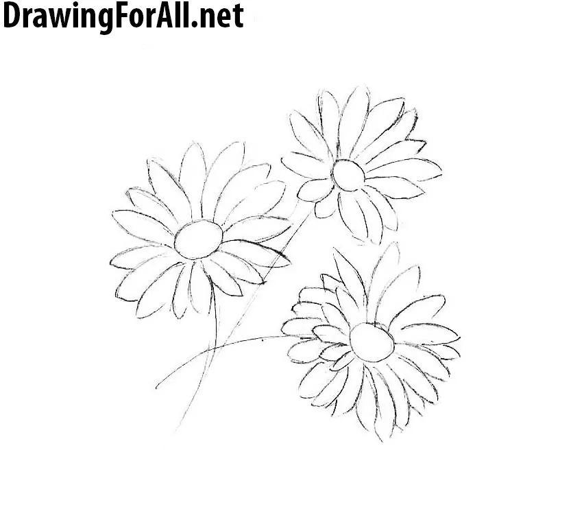 learn drawing flowers