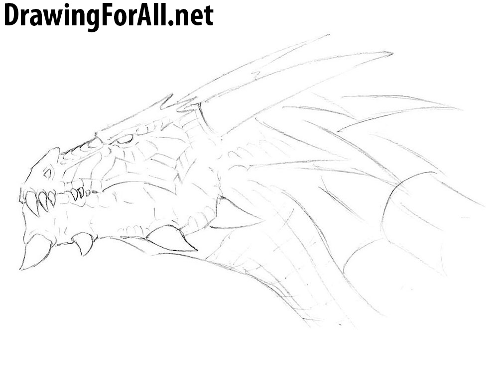 learn how to draw a head of dragon