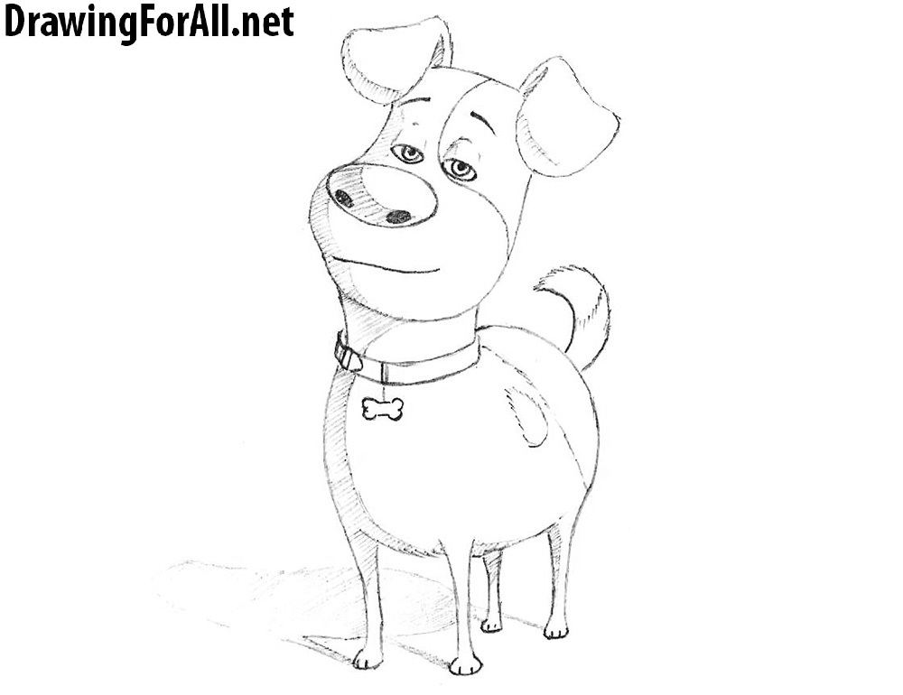 How to Draw Max from The Secret Life of Pets