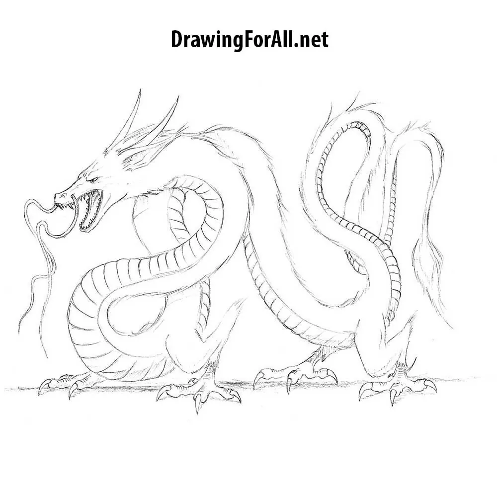 Chinese Dragon Drawing Images  Free Download on Freepik