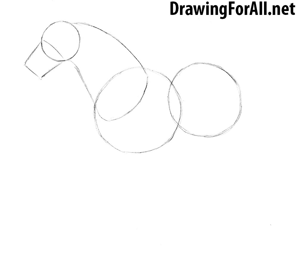 learn How to Draw a Horse