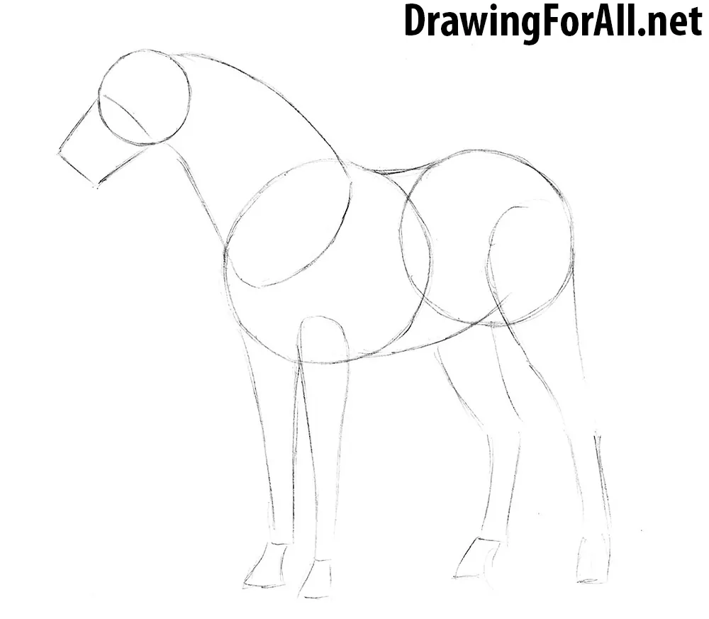 How to Draw a Horse with a pencil