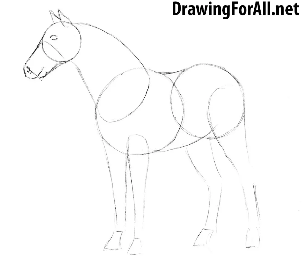 how to draw animals