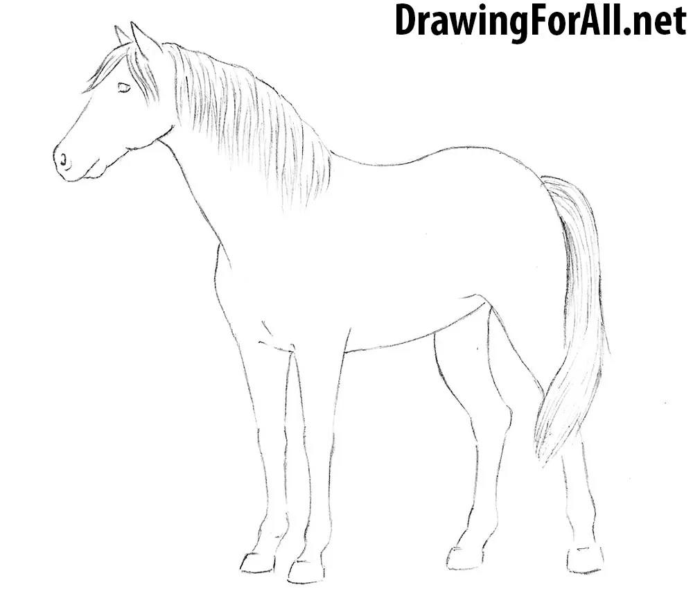 How to Draw a Horse easy