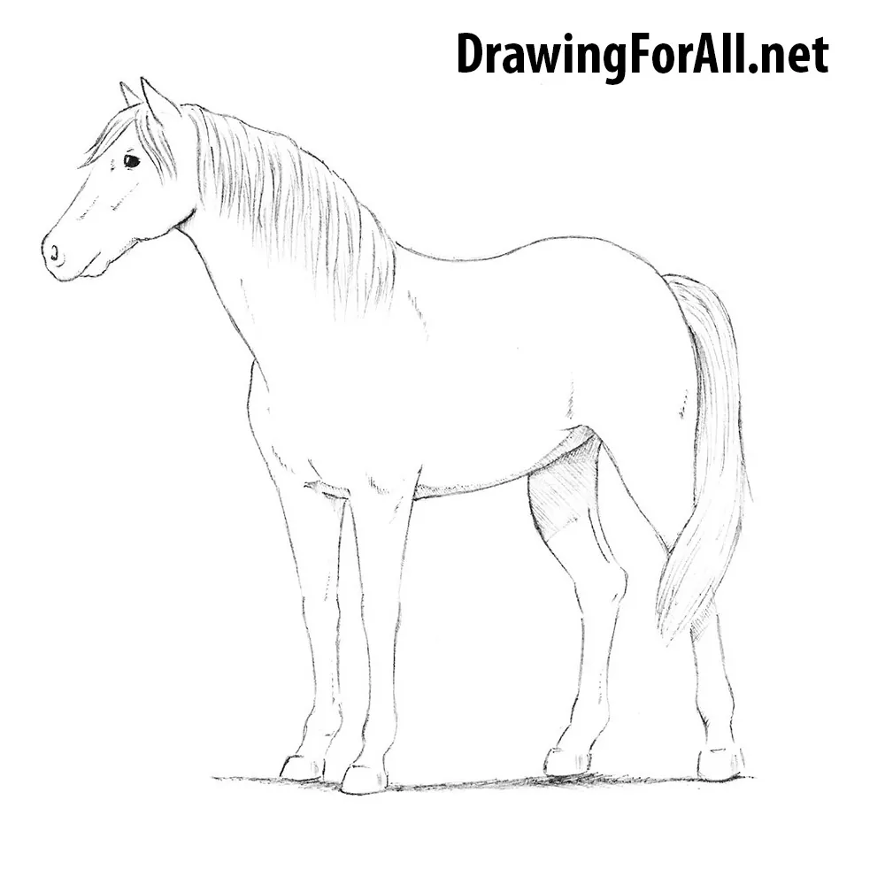 How to Draw a Horse